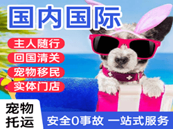 奇台江布拉克空运代理国际宠物托运 【国
